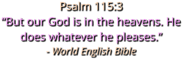 Psalm 115:3 “But our God is in the heavens. He does whatever he pleases.” - World English Bible