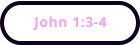 John 1:3-4
