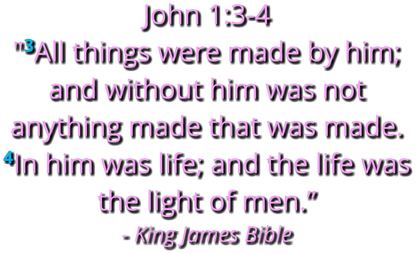 John 1:3-4   "3All things were made by him; and without him was not anything made that was made. 4In him was life; and the life was the light of men.” - King James Bible