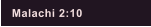Malachi 2:10