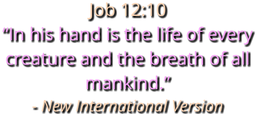 Job 12:10 “In his hand is the life of every creature and the breath of all mankind.” - New International Version