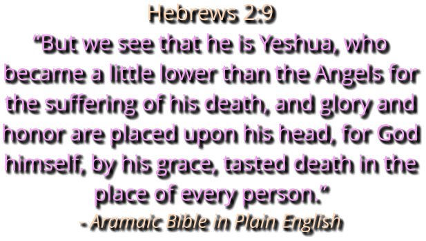 Hebrews 2:9 “But we see that he is Yeshua, who became a little lower than the Angels for the suffering of his death, and glory and honor are placed upon his head, for God himself, by his grace, tasted death in the place of every person.” - Aramaic Bible in Plain English