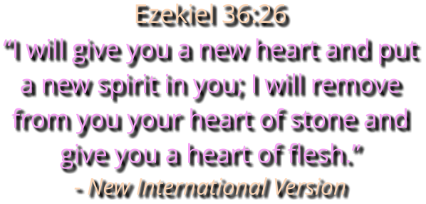 Ezekiel 36:26 “I will give you a new heart and put a new spirit in you; I will remove from you your heart of stone and give you a heart of flesh.” - New International Version