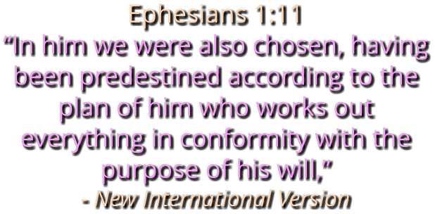 Ephesians 1:11 “In him we were also chosen, having been predestined according to the plan of him who works out everything in conformity with the purpose of his will,” - New International Version