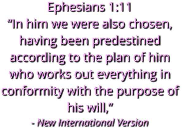 Ephesians 1:11 “In him we were also chosen, having been predestined according to the plan of him who works out everything in conformity with the purpose of his will,” - New International Version